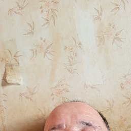 ���������, ���������, 54 ����