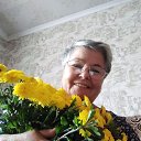 ���� �������, �����������, 67 ��� - ��������� 15 ������� 2023 � ������ ���� ����������