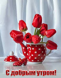 ���� ������, ��������, 67 ��� - ��������� 14 ������� 2023