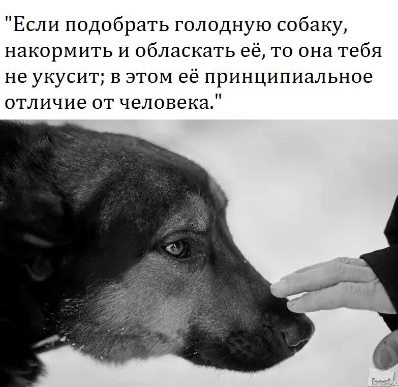 ***Victoria Viktorovna*** - 26  2022  04:09