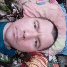 ������, ���������, 41 ���