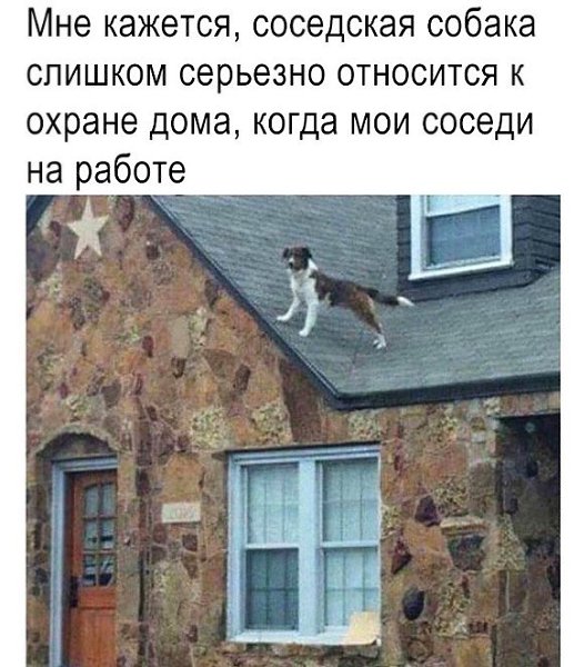   !
