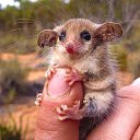  Svetlana, , 59  -  4  2022    