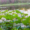 ���� �������, ���������, 66 ��� - ��������� 30 ������� 2022 � ������ ���� ����������