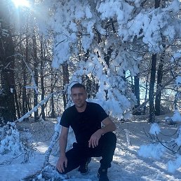 ��������, ������, 40 ���