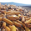 ���� �, �������, 47 ��� - ��������� 27 ������� 2022