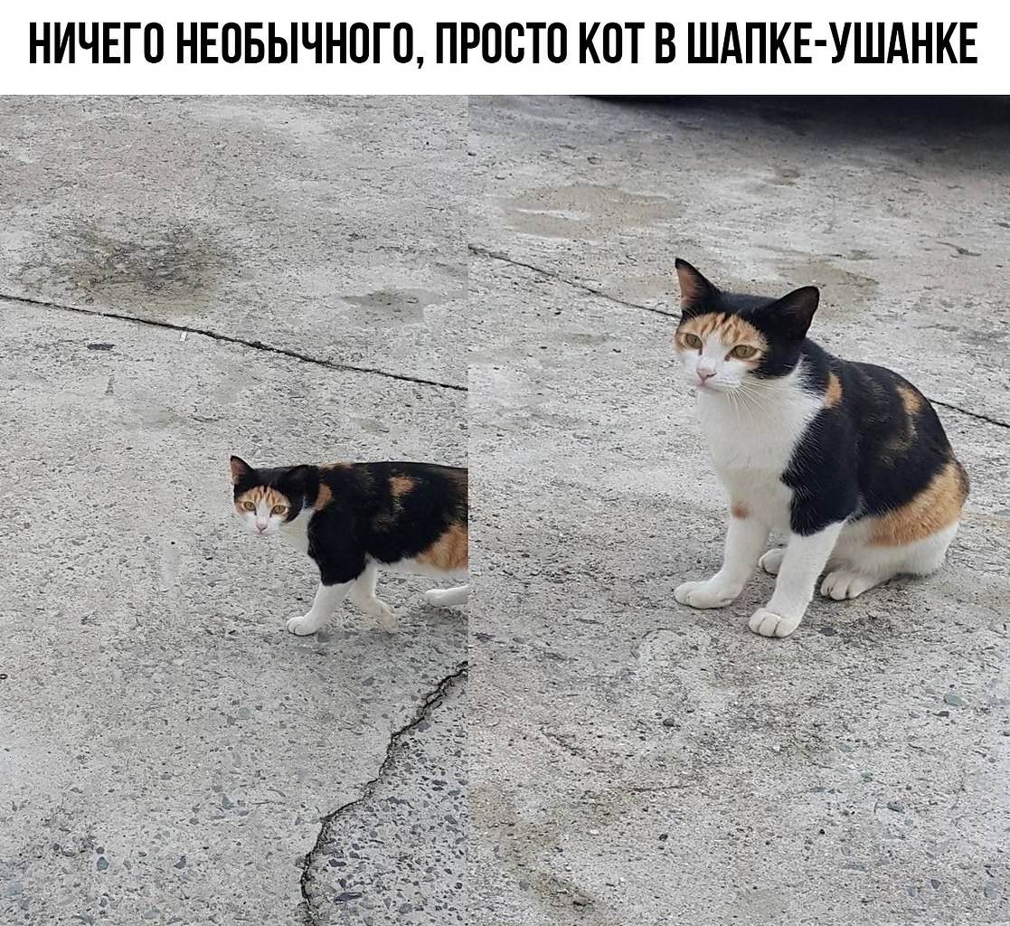    ! - 10  2022  14:25