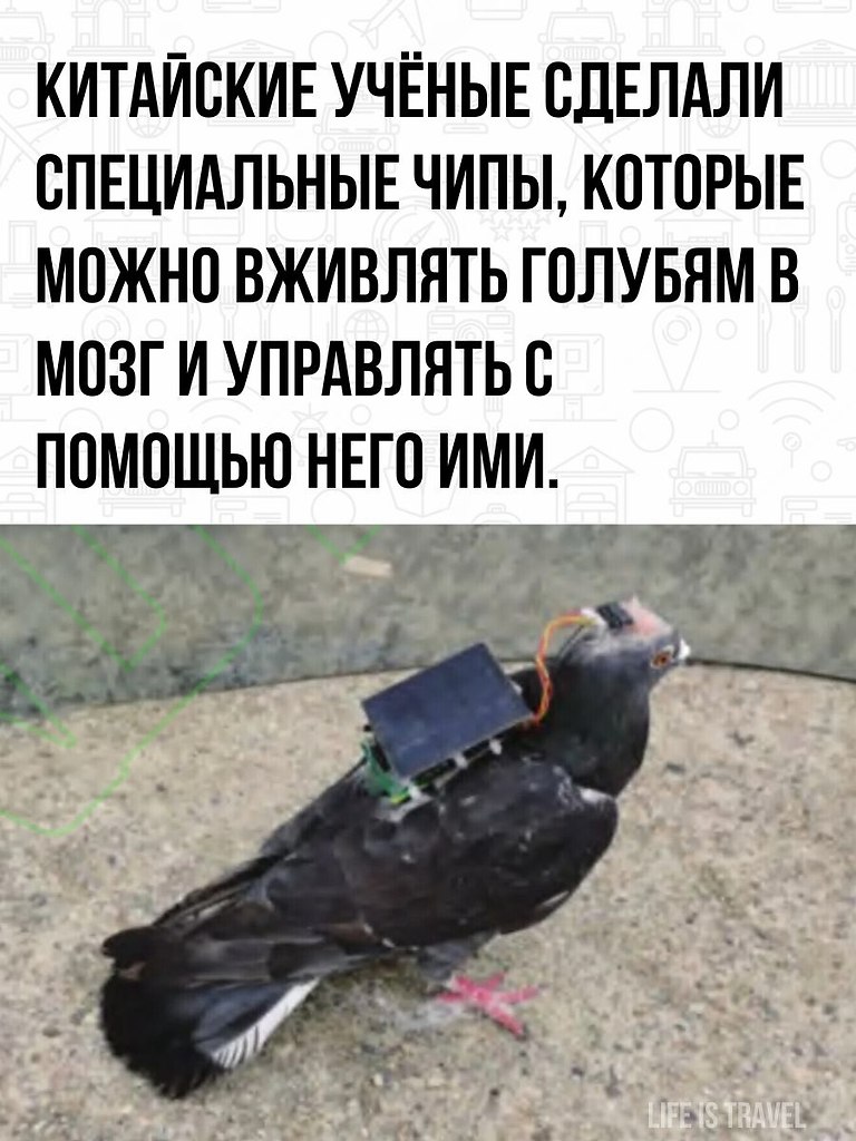  : -,    . - 2