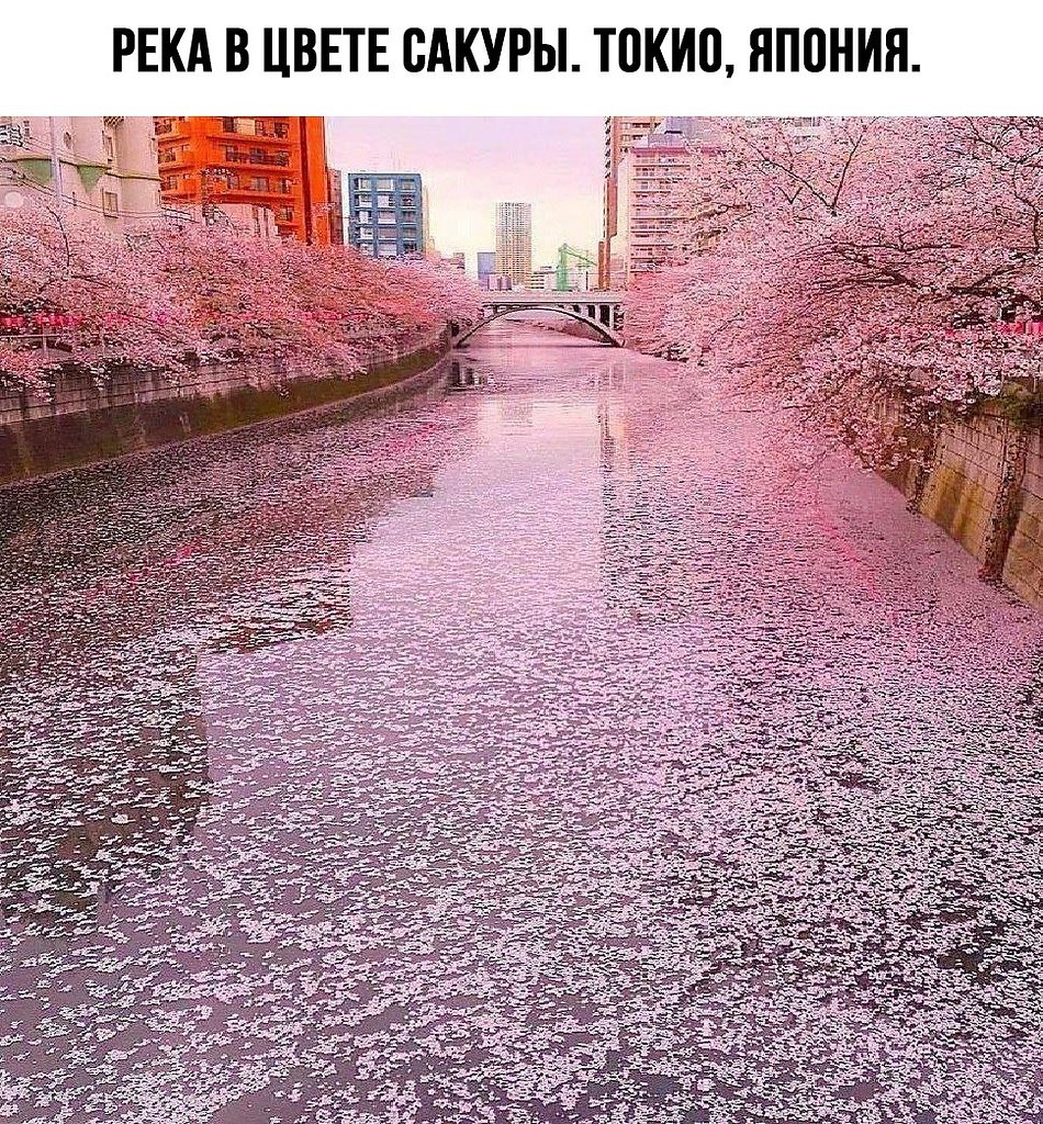   ! - 6  2022  16:43