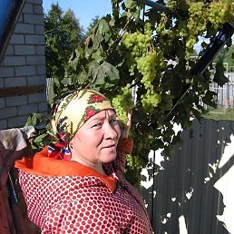 �����, ������������, 62 ����