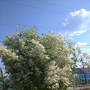 ���� ������, �������, 62 ���� - ��������� 28 ������� 2022