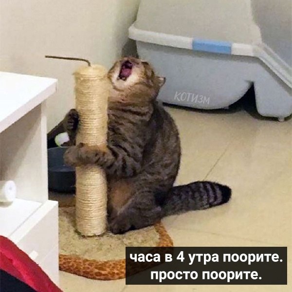   .    - 6