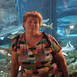 ���� �������, �����-���������, 56 ��� - ��������� 8 ���� 2022