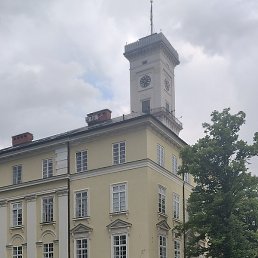 , , 41 