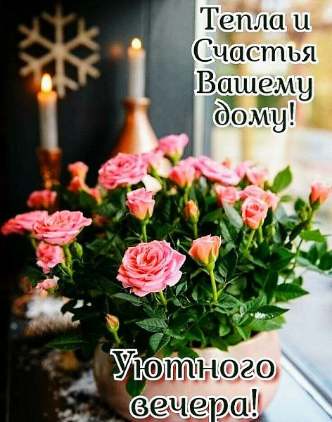  ,    . - 23  2022  19:07 - 9