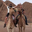 ���� Alex, ������, 65 ��� - ��������� 20 ������ 2022