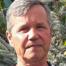 ����, ����������, 44 ����