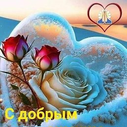 �������, ������, 51 ���