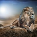 ���� ���, �����-���������, 51 ��� - ��������� 2 ������� 2022 � ������ ���� ����������