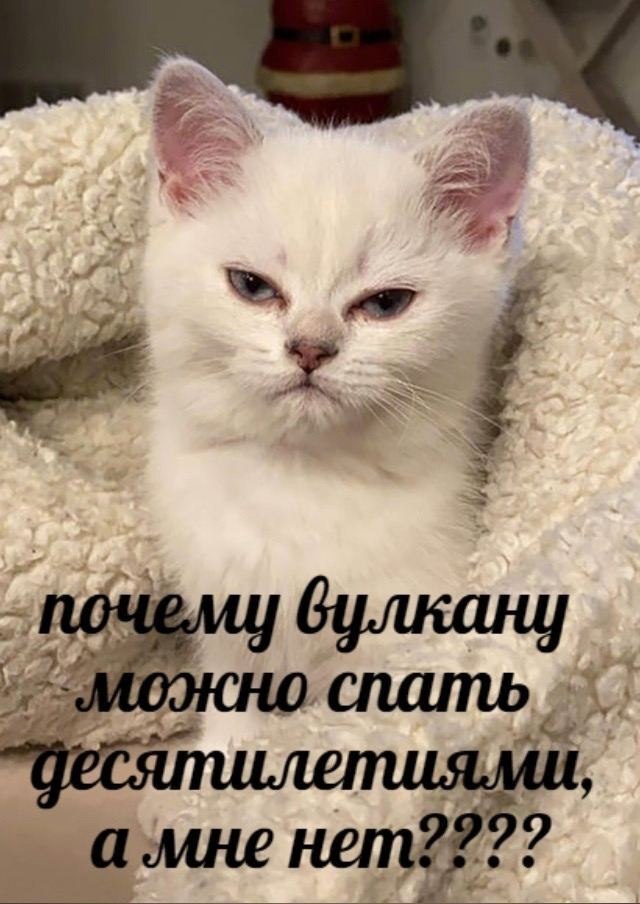    - 30  2022  18:24