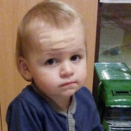 ��������, ������, 49 ���