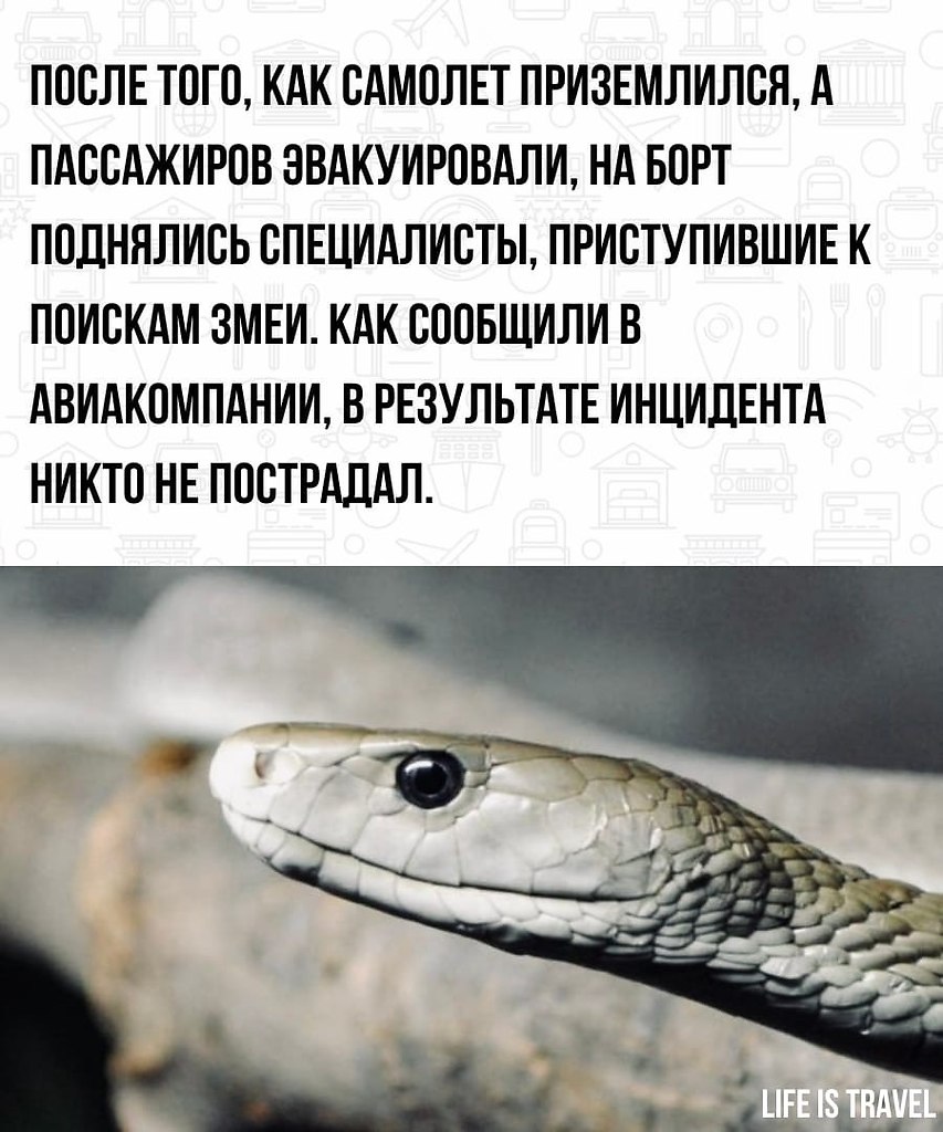 LIFE -  - 8  2022  00:50 - 3