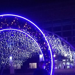 ������, �������, 53 ����