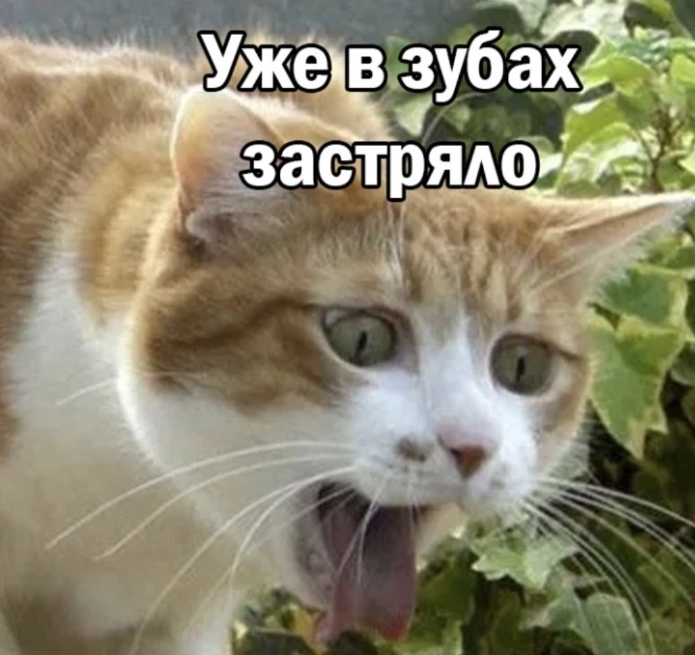   - 3