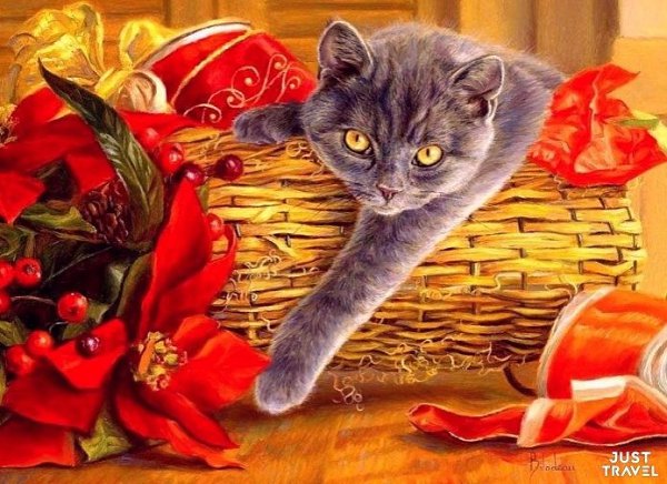 ����� ���� ������ (LUCIE BILDEU). ���������. ��o���� ��c� ���o�o (Luci� Bilod�au) po���ac� � �ae ... - 2