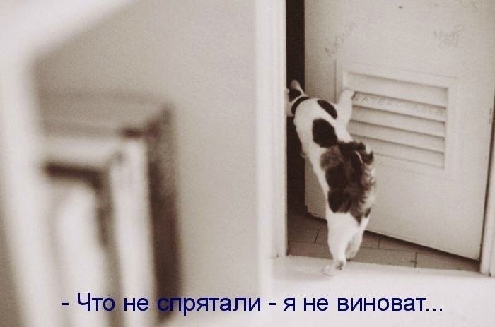    - 22  2022  14:15