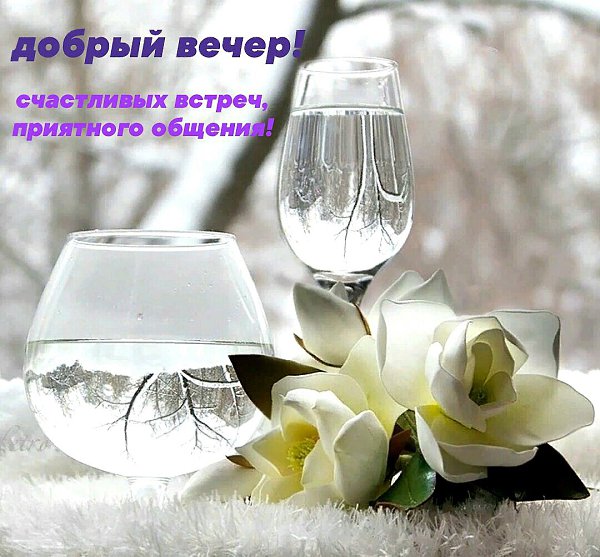   ,    . - 23  2022  19:07 - 7