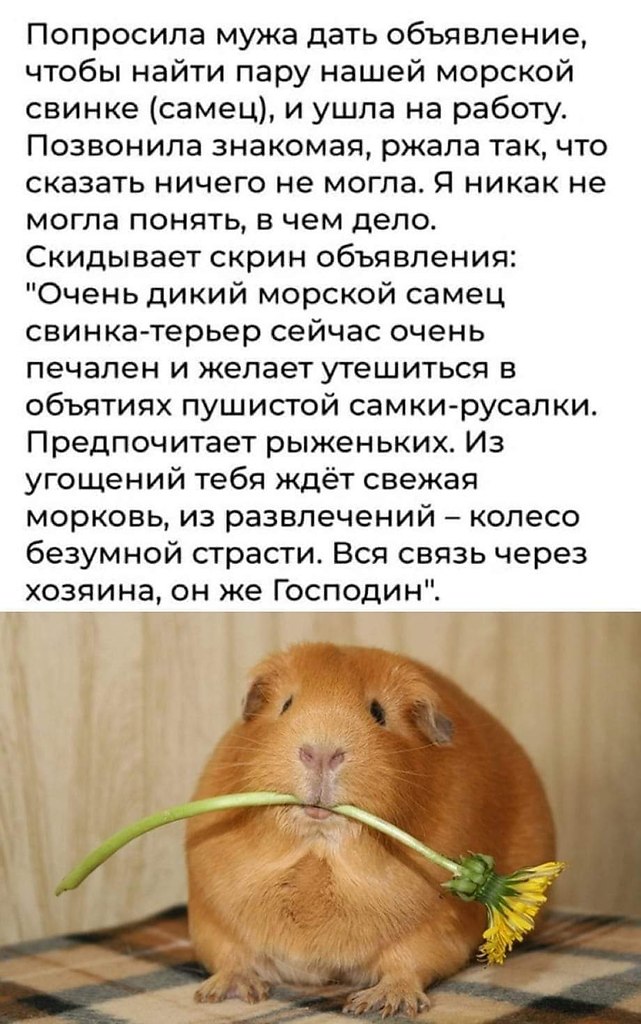 :)