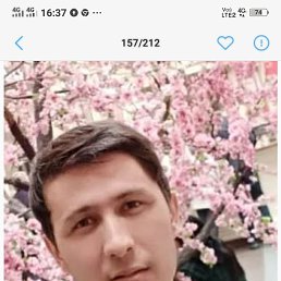 ���� ��������, ������, 38 ��� - ��������� 17 ������� 2022