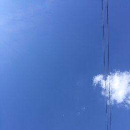 ���� �����, ����, 42 ���� - ��������� 16 ��� 2022