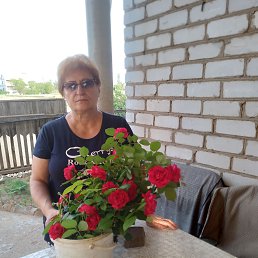 ���� �������, ������, 67 ��� - ��������� 24 ������ 2023