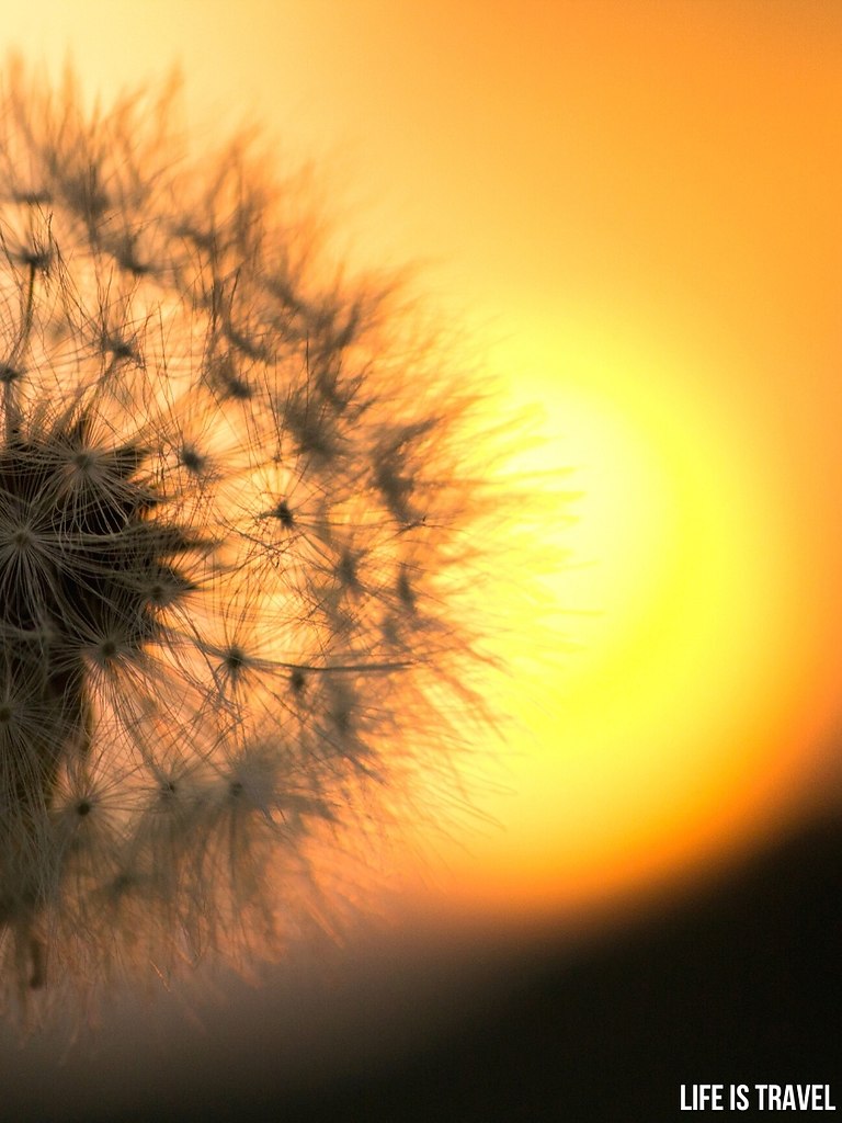  -   !    ,    ) - 4
