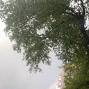 ���� �����, �����, 53 ���� - ��������� 29 ��� 2022 � ������ ���� ����������