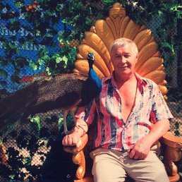 ���� ������, ���������, 75 ��� - ��������� 25 ������ 2022