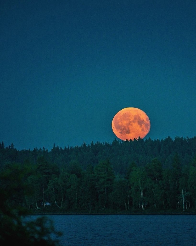 ������� �������� � ������ � ���� ������ �� �������! - 5