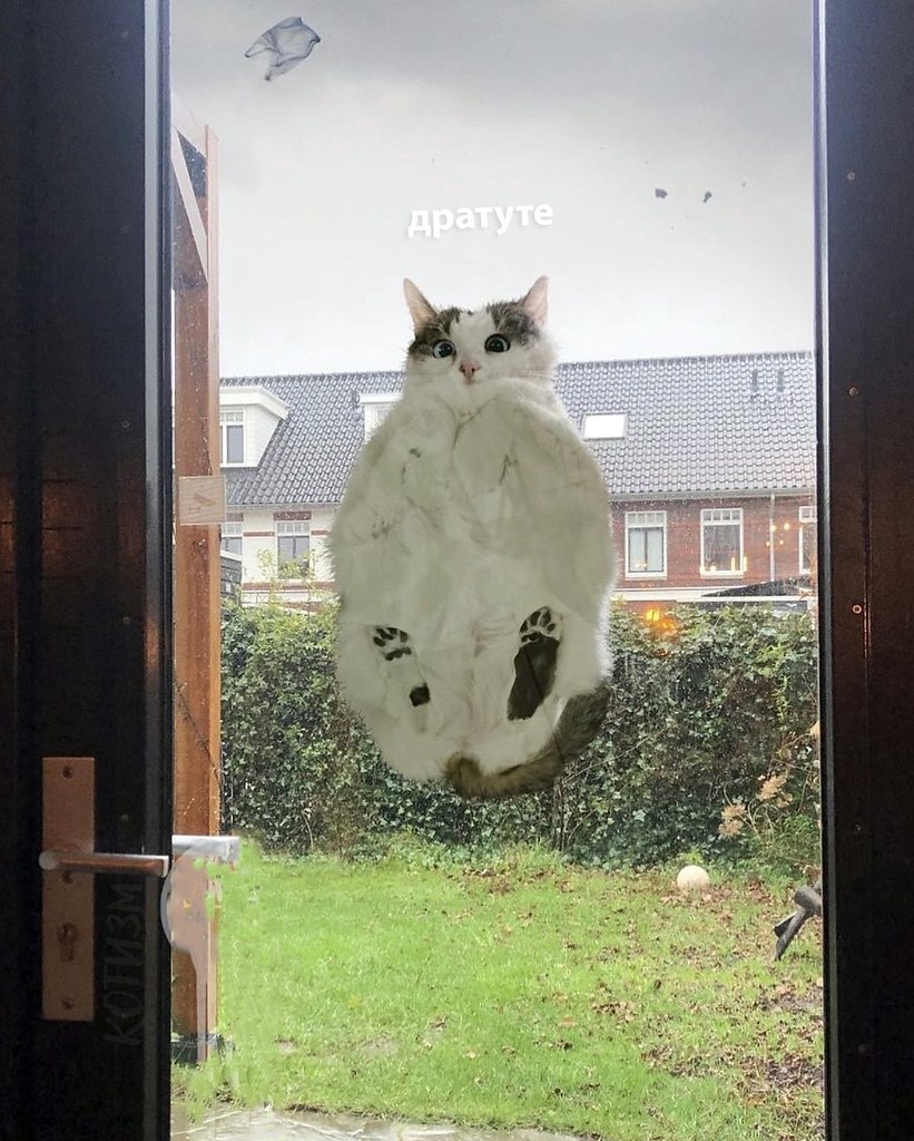  -,     .    ,  ...
