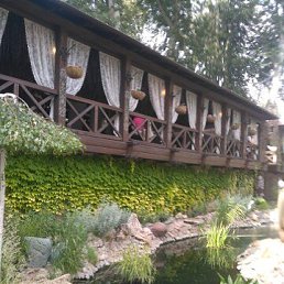 ���� ����, �����, 58 ��� - ��������� 8 ������� 2022