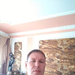 , 41, 