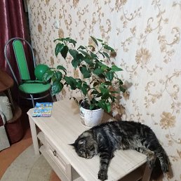 ���� ����, ������, 30 ��� - ��������� 29 ������� 2022