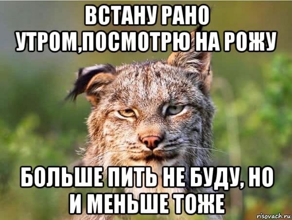 - 5  2022  18:08
