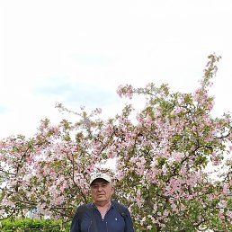 ���� ������ ������������, ������, 38 ��� - ��������� 12 ������� 2023