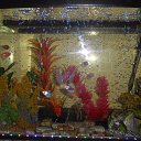 ���� ��������, �����������, 59 ��� - ��������� 20 ������� 2023