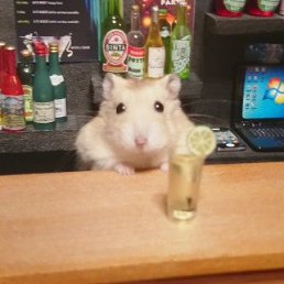 ���� ����, �����, 28 ��� - ��������� 20 ������� 2022