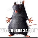 ���� ����, ������������, 26 ��� - ��������� 8 ���� 2022 � ������ ���� ����������