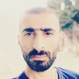 ����, �������, 41 ���