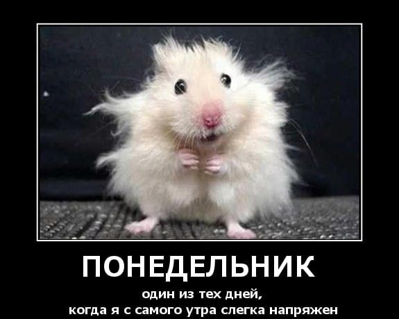 Wszystko Jedno () - 28  2022  00:55